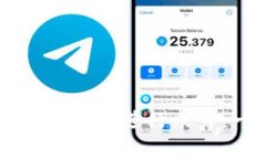 如何通过TPWallet成功进行众筹：一站式解决方案